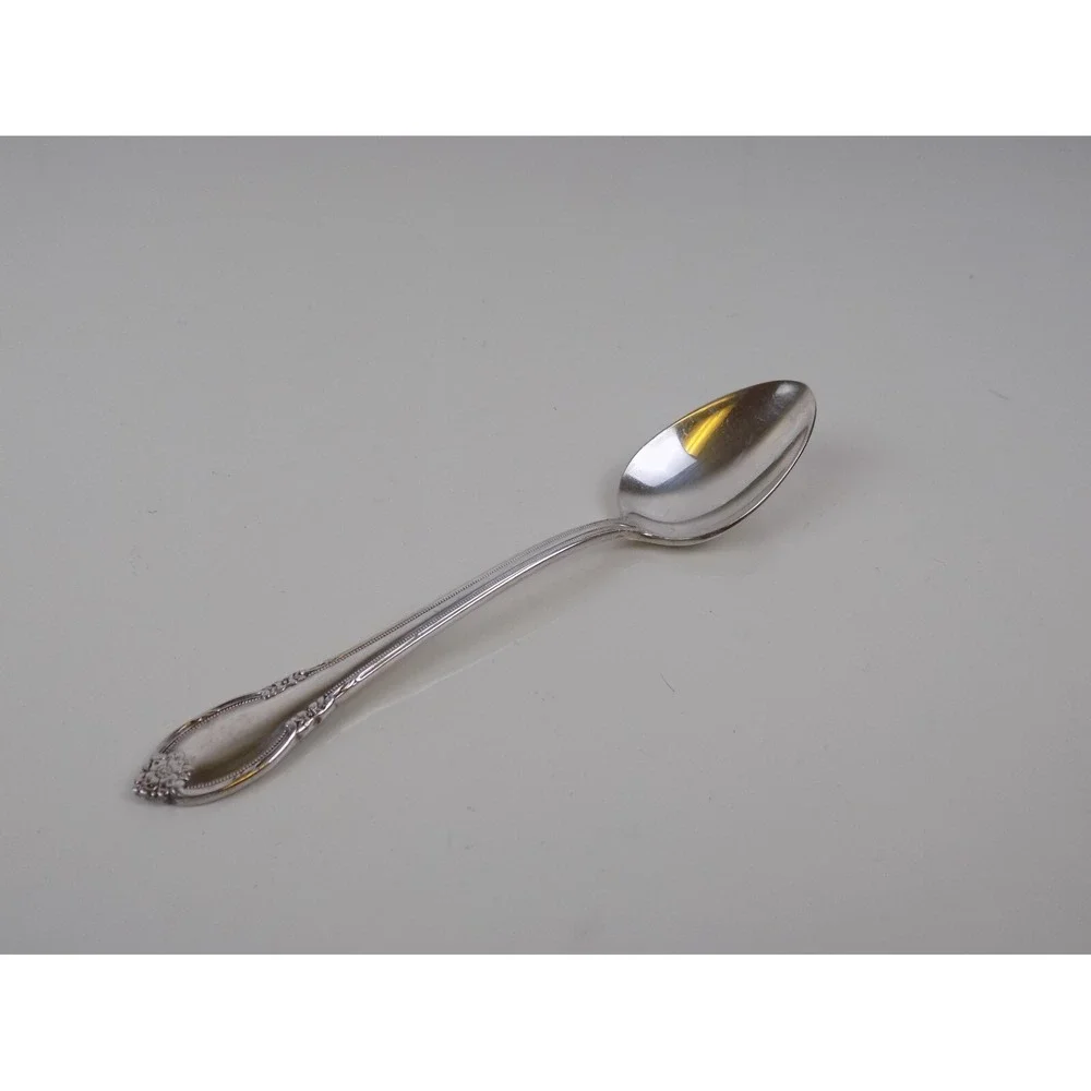 1847 Rogers Bros Remembrance TEASPOON Spoon One (1) International Silver Plate